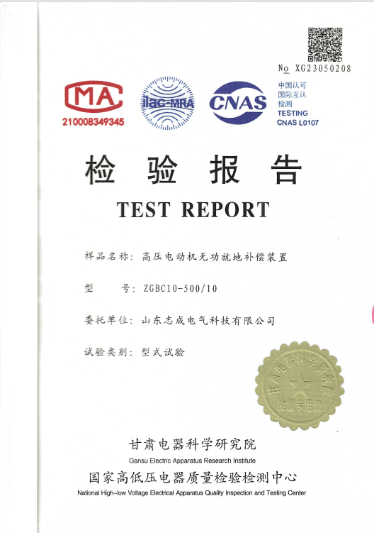 高压电动机无功就地补偿装置ZGBC10-500/10检验报告